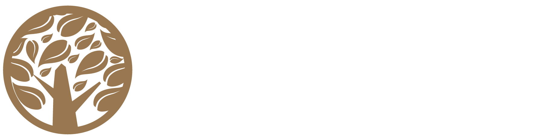 Oakstreet Mortgage Logo